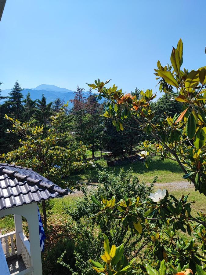 Olympus Mytikas Apartment Litochoro Zewnętrze zdjęcie